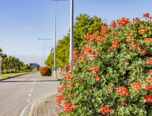Al lid? Zet jouw bedrijf in de spotlight met een Energieprofiel