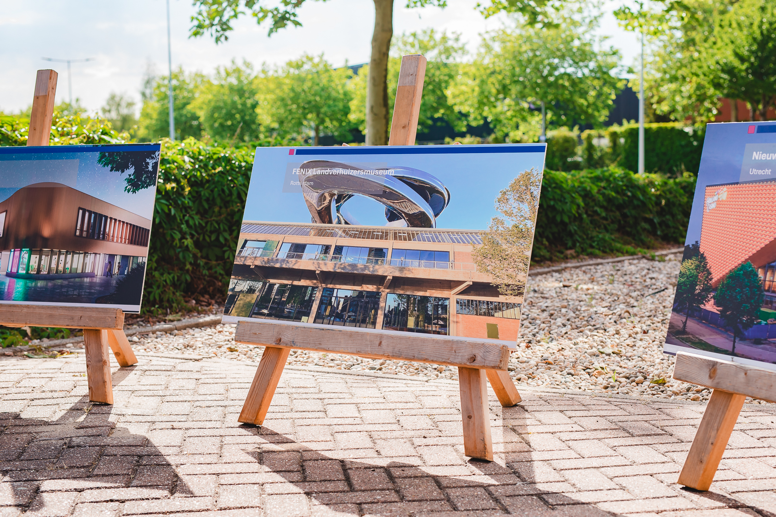 LR BP Parkborrel 28-5-26 (50 van 89)